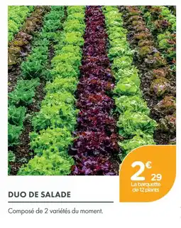 Point Vert Duo de salade offre