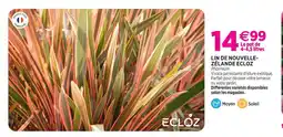 Delbard Ecloz lin de nouvelle-zélande ecloz offre