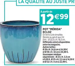 Delbard Ecloz pot mérida ecloz offre