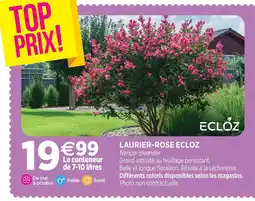 Delbard Ecloz laurier-rose ecloz offre