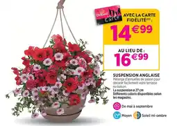 Delbard Suspension anglaise offre