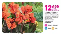 Delbard Canna cannova offre