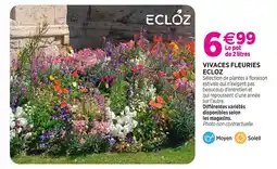 Delbard Ecloz vivaces fleuries ecloz offre