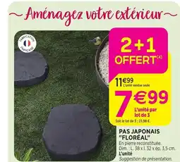 Delbard Pas japonais floréal offre
