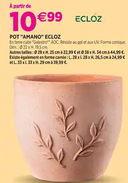 Delbard Ecloz pot amano ecloz offre