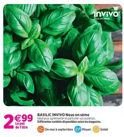Delbard Invivo nous on sème basilic invivo nous on sème offre