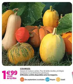 Delbard Courges offre