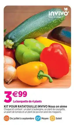 Delbard Invivo nous on sème kit pour ratatouille invivo nous on sème offre