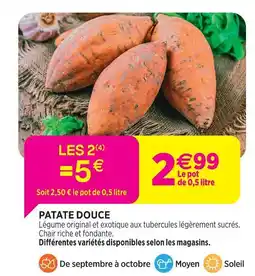 Delbard Patate douce offre