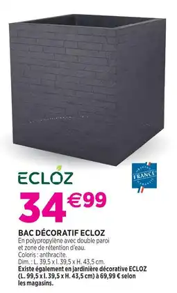 Delbard Ecloz bac décoratif ecloz offre