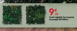 Maxi Bazar Carré végétal izy tropical offre