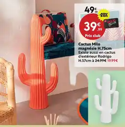 Maxi Bazar Cactus milo magnésie offre