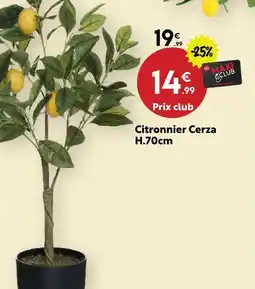 Maxi Bazar Citronnier cerza offre