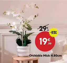 Maxi Bazar Orchidée mick h.80cm offre