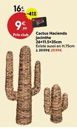 Maxi Bazar Cactus hacienda jacinthe offre