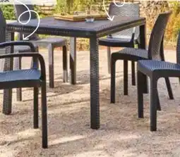 La Foir'Fouille Table rosy rectangle offre