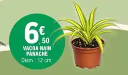 E.Leclerc Vacoa nain panache offre