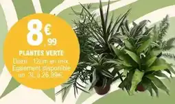 E.Leclerc Mix - plantes verte offre