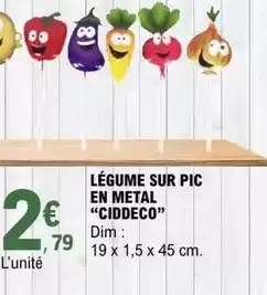 E.Leclerc Dim - legume sur pic en metal offre