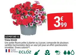 Gamm vert ECLOZ Trixie offre