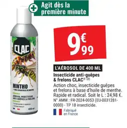 Gamm vert CLAC Insecticide anti-guêpes & frelons offre
