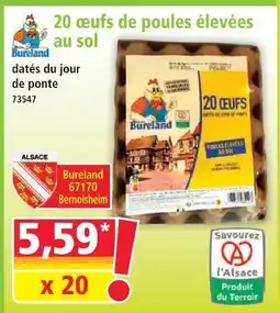 Norma Bureland 20 œufs de poules élevées au sol offre