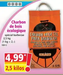 Norma Charbon de bois écologique offre