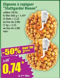 Norma Oignons à repiquer 'stuttgarter riesen' offre
