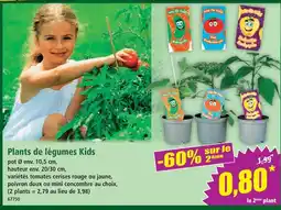 Norma Plants de légumes kids offre