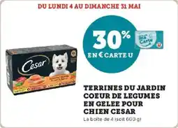 Super U Terrines du jardin coeur de legumes en gelee pour chien cesar offre