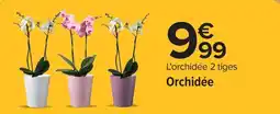 Carrefour Orchidée offre