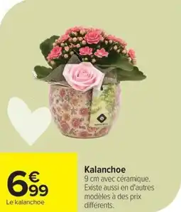 Carrefour Kalanchoe offre