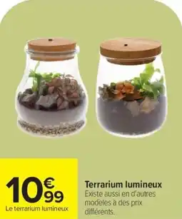 Carrefour Terrarium lumineux offre