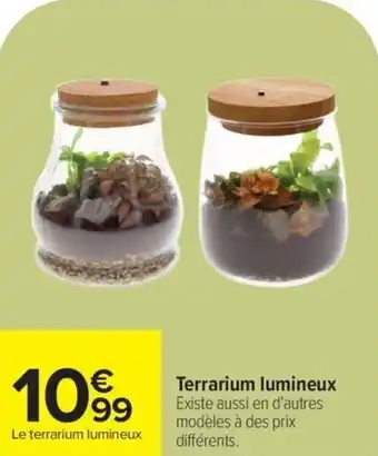 Terrarium lumineux