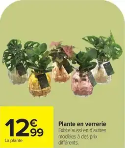 Carrefour Plante en verrerie offre