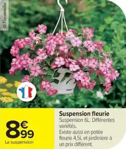 Carrefour Suspension fleurie offre