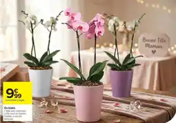 Carrefour Orchidée offre