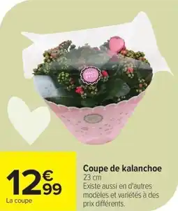 Carrefour Coupe de kalanchoe offre