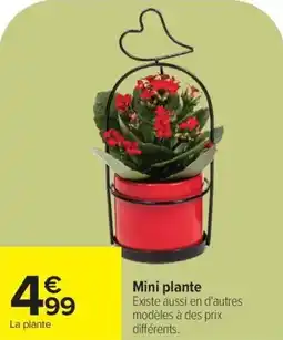 Carrefour Mini plante offre
