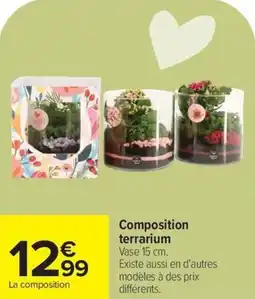 Carrefour Composition terrarium offre