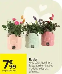 Carrefour Rosier offre