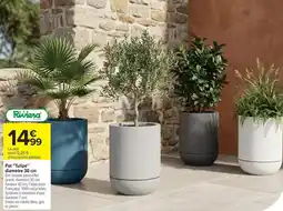 Carrefour Pot tulipe offre