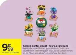 Carrefour Garden plantes en pot fleurs à construire offre