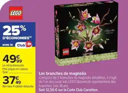 Carrefour Les branches de magnolia offre