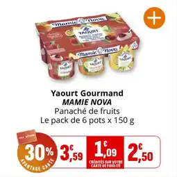 Coccinelle Express MAMIE NOVA Yaourt Gourmand Panaché de fruits offre