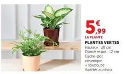 Hyper U Plantes Vertes offre