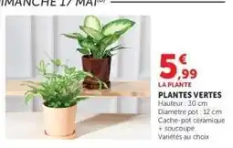 Super U Plantes Vertes offre