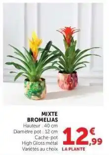 Super U MIXTE BROMELIAS offre