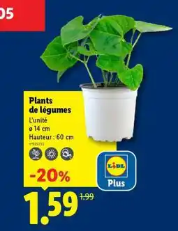 Lidl Plants De Legumes offre