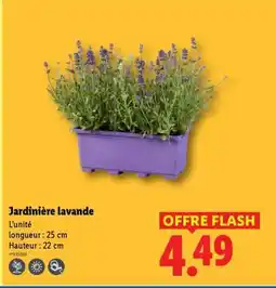 Lidl Jardinière lavande offre